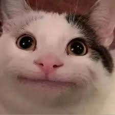 cat hehe